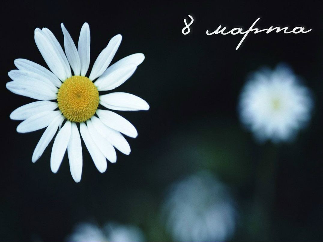 Евгения Антипова | Пермь