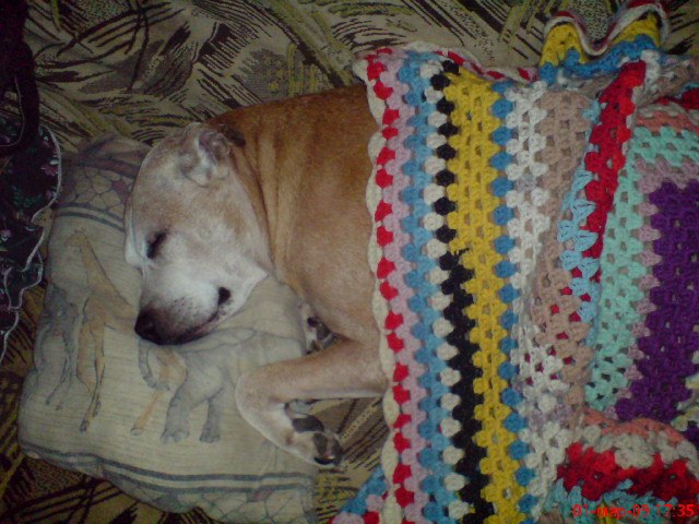 Руслана Гринькова | Киев