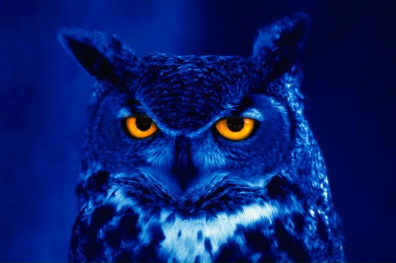 Денис Ефремов | Харьков