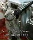 №1 Романа Зверева 04.08.1992: профиль, фото, статус - ВКонтакте
