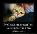 №6 Каролина Рюмина 22.05: профиль, фото, статус - ВКонтакте №6 Каролина Рюмина 22.05: профиль, фото, статус - ВКонтакте