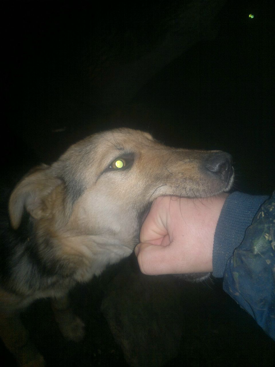 Iskander Лупына | Киев