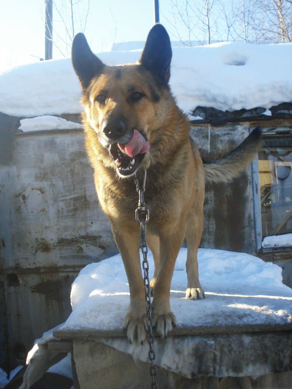 Анастасия Хазиахметова | Урай