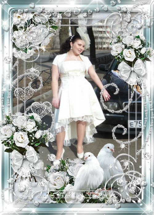 Алексей Тесёлкин | Санкт-Петербург