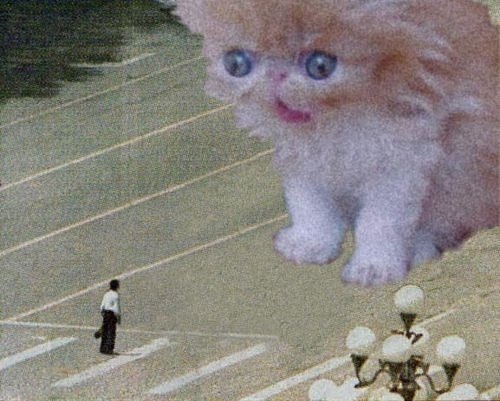 Владимир Голубь | 