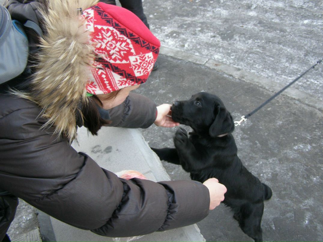 Юлия Пчёл | Омск