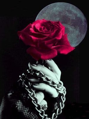 Лилиана Генкель | Москва