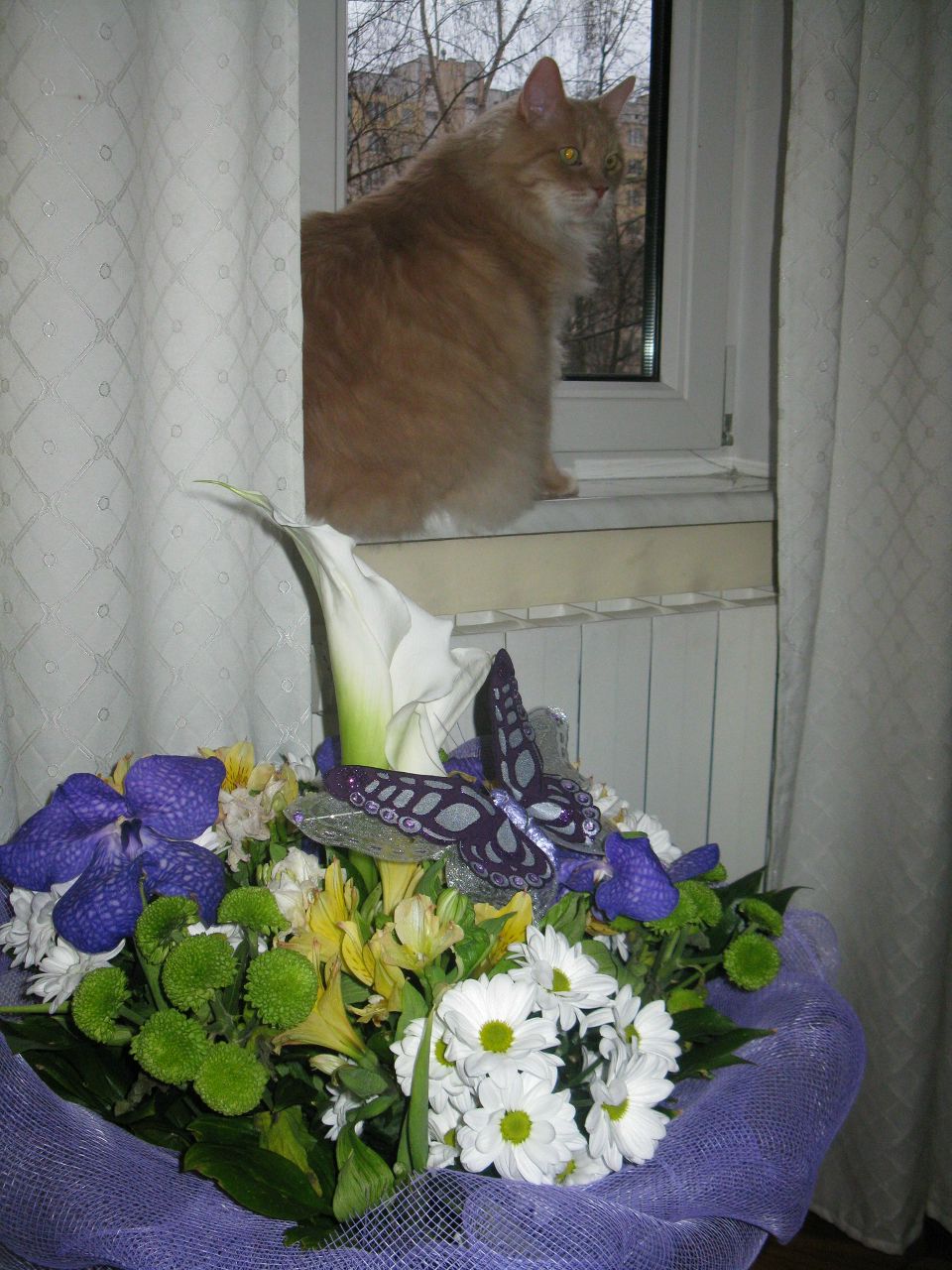 Димитрий Лящук | Киев