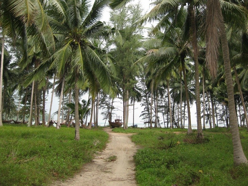 Феофана Ромашкина | Санкт-Петербург