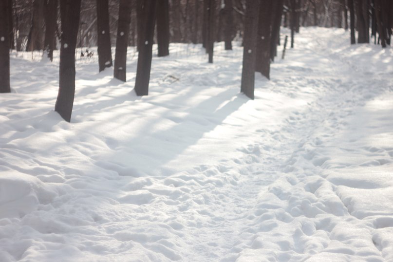 Дмитрий Миронов | Москва