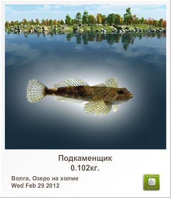 Дмитрий Мартынов | 