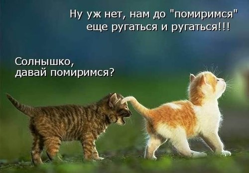 Анна Паянен | Санкт-Петербург