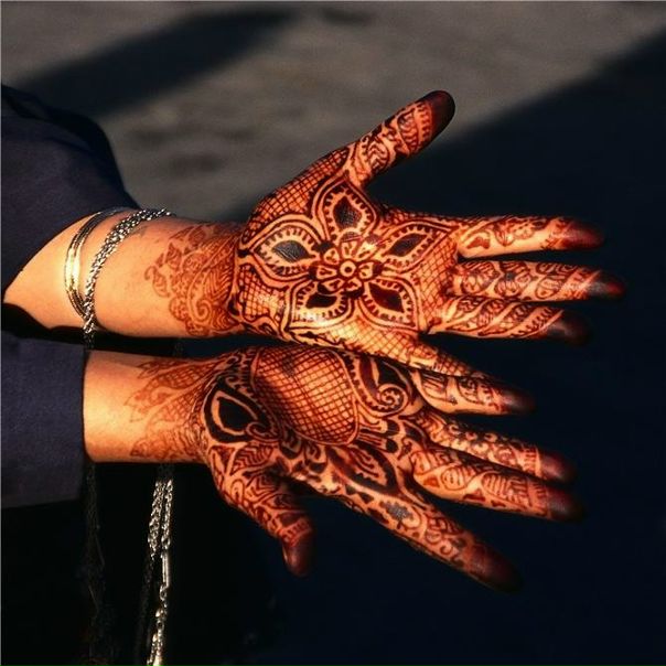 №11, Наталья Котрехова №11, Наталья Котрехова