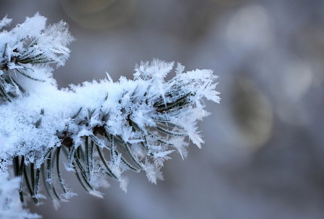 Серёга Крюкин | Москва