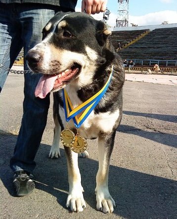 Дима Штыфурко | Винница