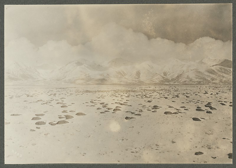 Анна Ярмош | Москва