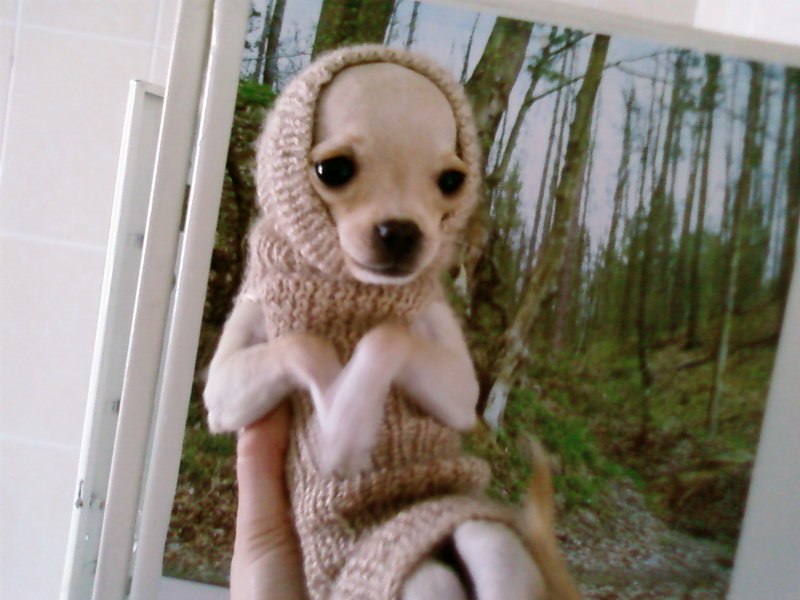 Евгения Кузьменко | Николаев