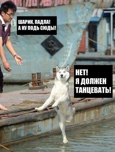 Антон Валерьевич | Новосибирск