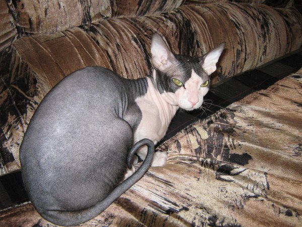 Татьяна Викторовна | Санкт-Петербург