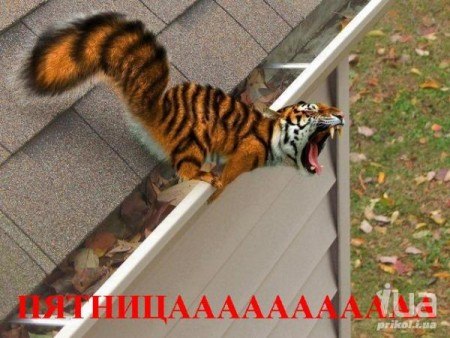 Андрей Хромов | Харьков