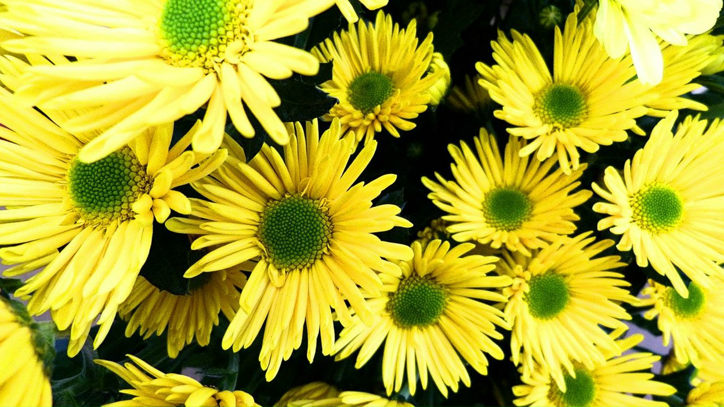 Александр Засимович | Волгоград