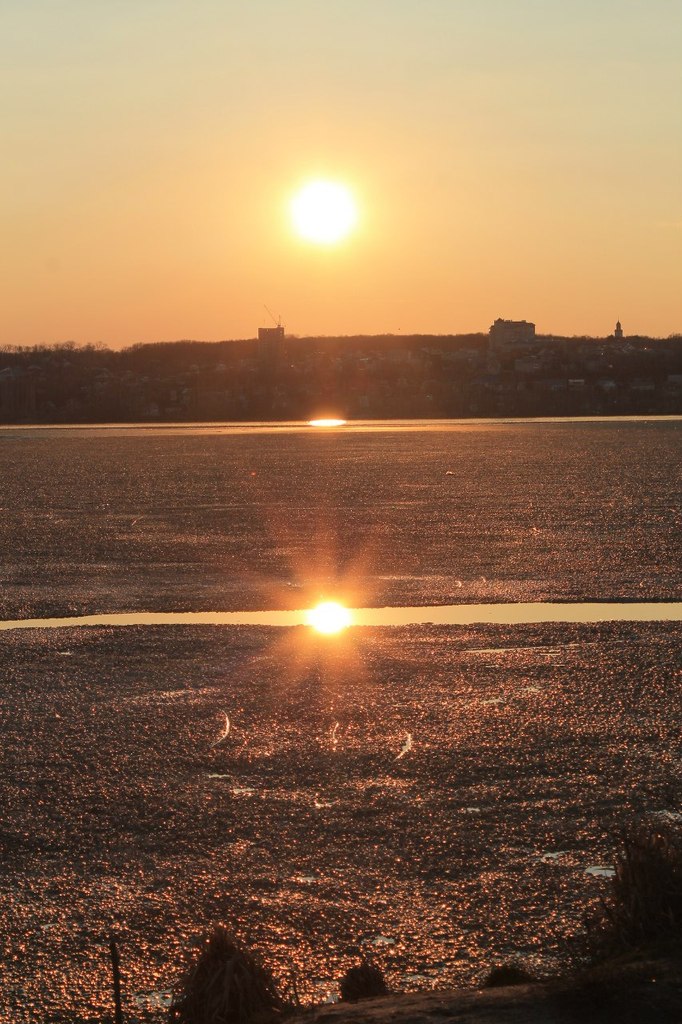 Дмитрий Малый | Воронеж