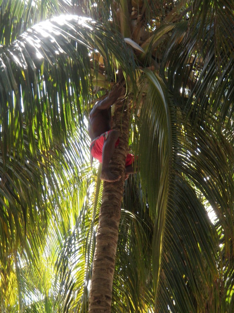 Наталия Большакова-Михайлова | Санкт-Петербург