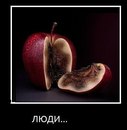 Даша Анисимова, , 12.05