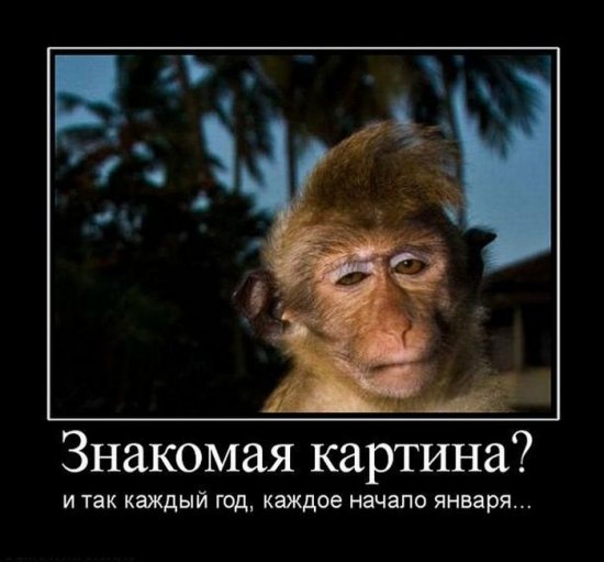 №5, Кирилл Ушков, 31 год, New York City №5, Кирилл Ушков, 31 год, New York City