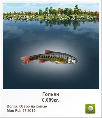 Максим Латушкин | Санкт-Петербург