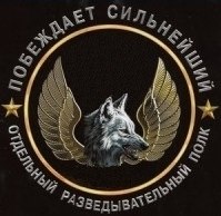 Alex Wolf | Freetown