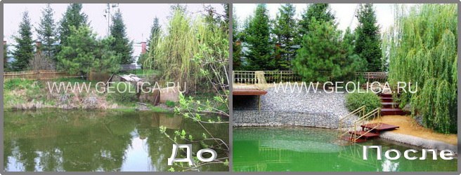 Сергей Снежков | Рясно