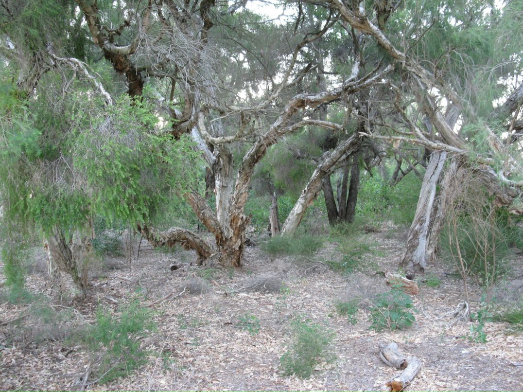 Олжик Аманбаев | Алматы