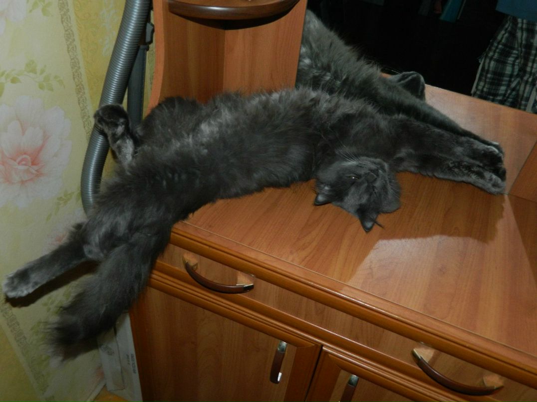 Евгений Мельниченко W | Челябинск