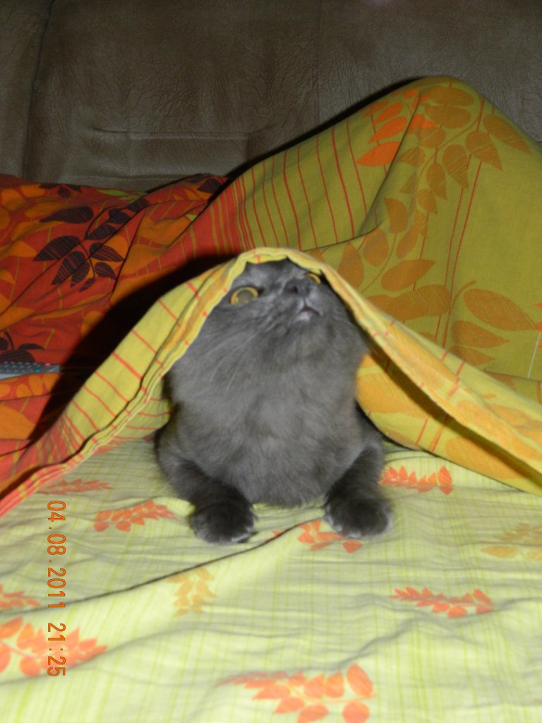 Евгений Мельниченко W | Челябинск