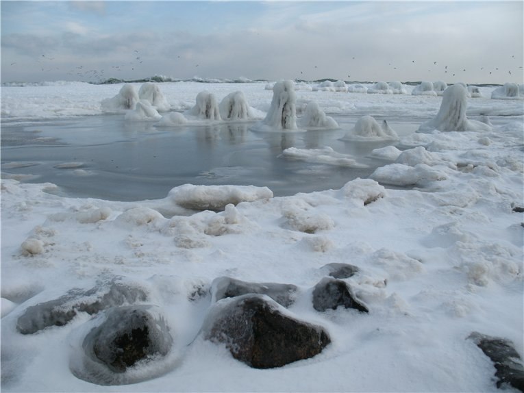 Роман Кудюкин | Одесса