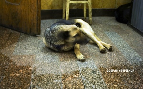 Дмитрий Феоктистов | Ульяновск