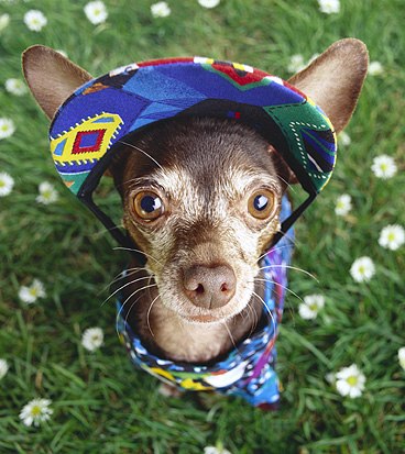 Ленусик Спиридонова ♥♥♥ | Москва