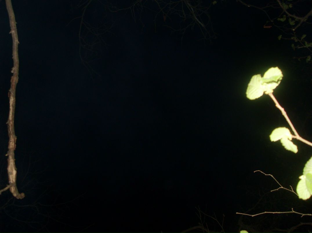 Дмитрий Лукин | Севастополь