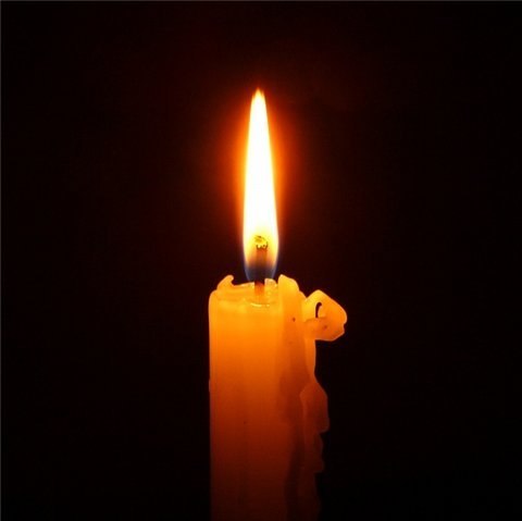 Ольга Елисеева Лелик | Вологда