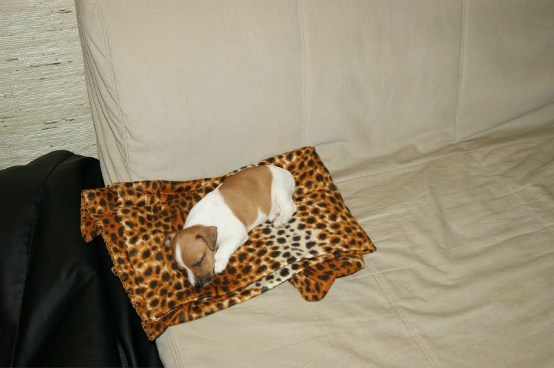 Андрей Миронов | Москва