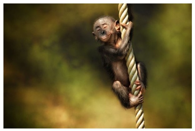 Игорь Барко | Вознесенск