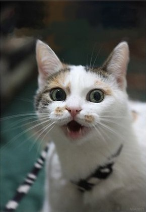 Иван Морозов | Ижевск