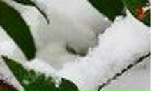 Татьяна Саганова | Пугачев