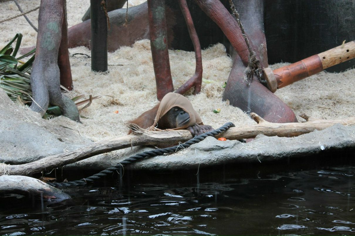 Юлия Урба | Stavanger