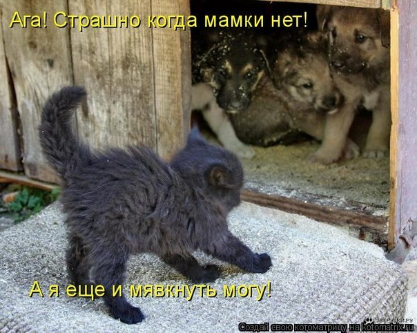 Андрей Светличный | Днепр (Днепропетровск)