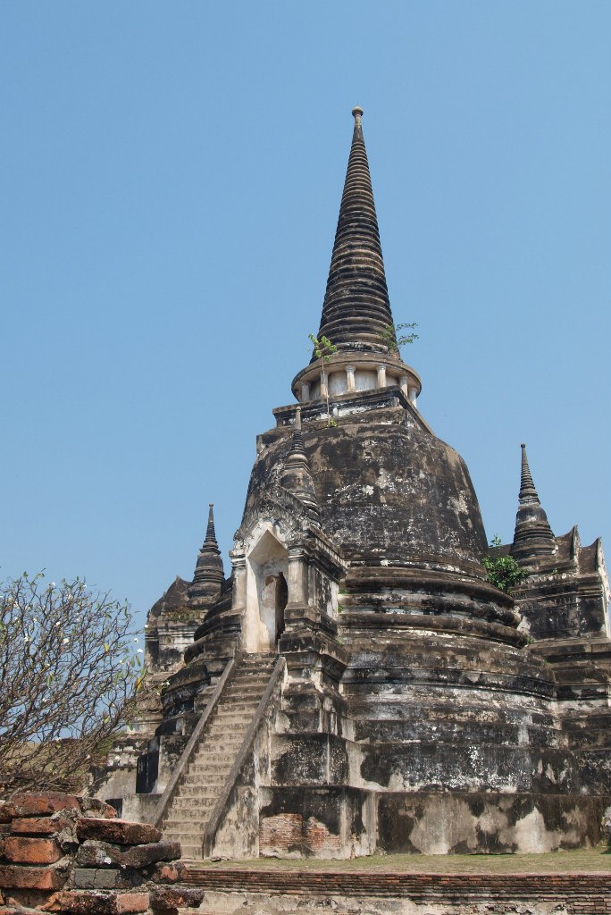 Виктория Носаченко | Москва