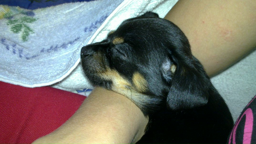 №30, Дашенька Кузнецова, Мурманск №30, Дашенька Кузнецова, Мурманск