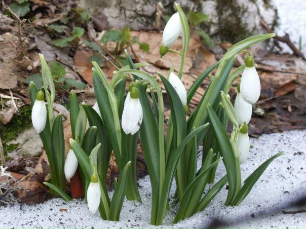 №182, Александра Ушакова, 34 года, Усть-Каменогорск №182, Александра Ушакова, 34 года, Усть-Каменогорск