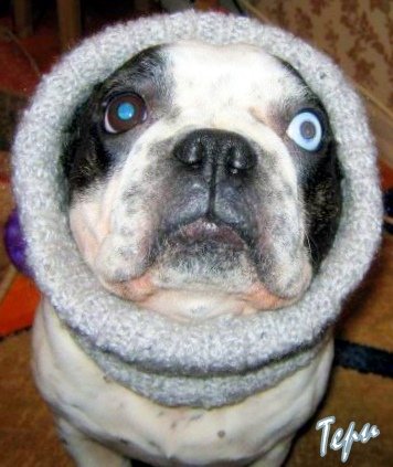 №20, Константин Яблонских, 42 года, Красноярск №20, Константин Яблонских, 42 года, Красноярск